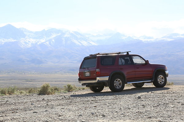 ADNDIMG 8109 ADNDIMG 8109