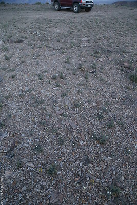 DNDIMG 8535 DNDIMG 8535