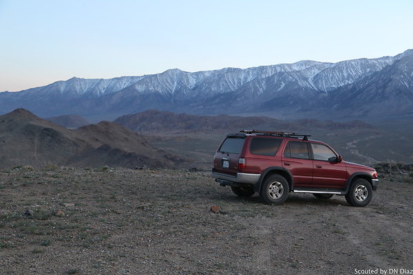 zDNDIMG 8508 zDNDIMG 8508