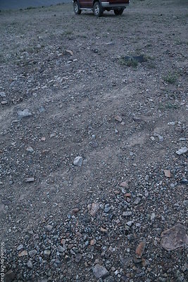 DNDIMG 8528 DNDIMG 8528