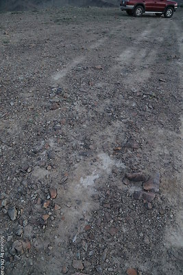 DNDIMG 8521 DNDIMG 8521