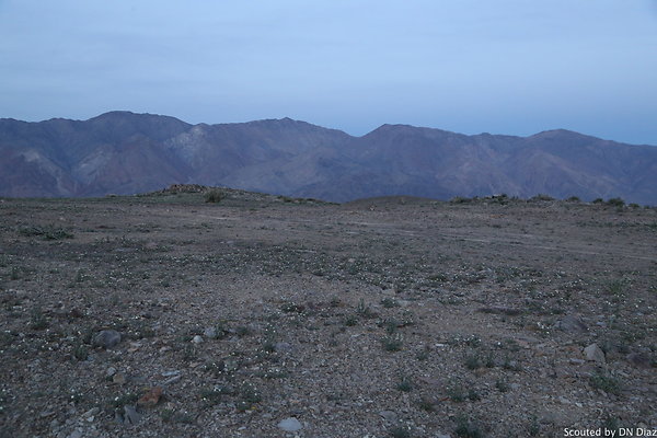 DNDIMG 8529 DNDIMG 8529