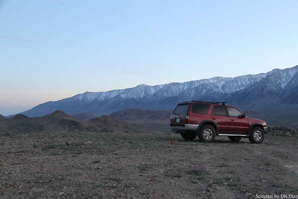 DNDIMG 8509 DNDIMG 8509