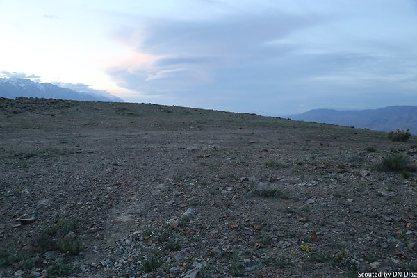 DNDIMG 8524 DNDIMG 8524