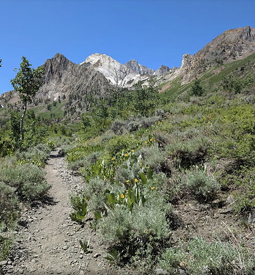 MM Trail 2024-06-25 at 1.37.55 PM