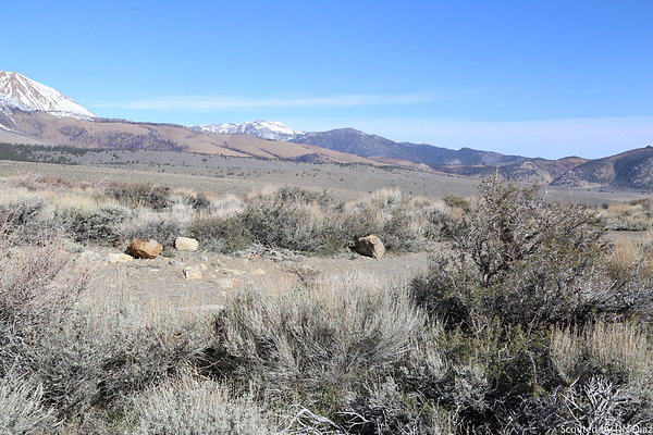 DNDIMG 7838 DNDIMG 7838