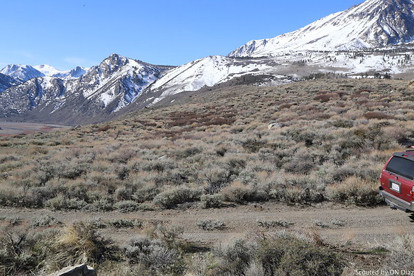 DNDIMG 7825 DNDIMG 7825