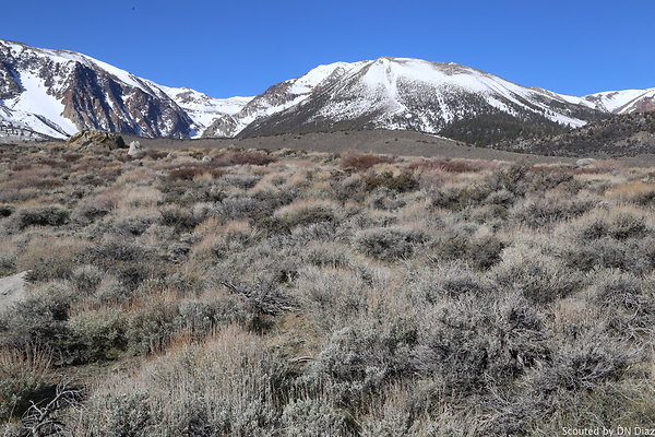 DNDIMG 7831 DNDIMG 7831