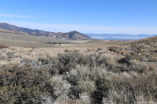 DNDIMG 7845 DNDIMG 7845