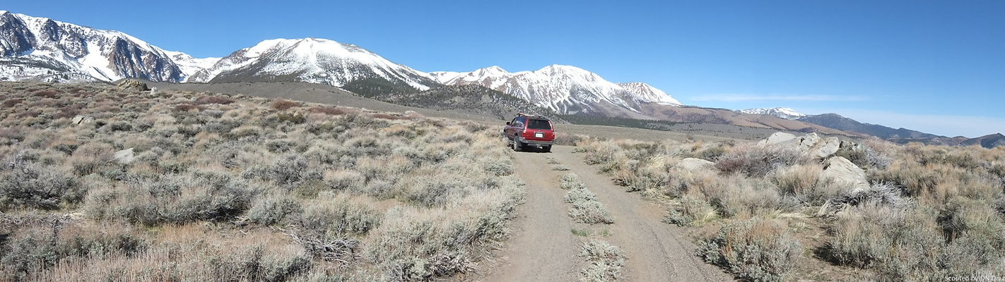 zDNDDSCF4390 zDNDDSCF4390