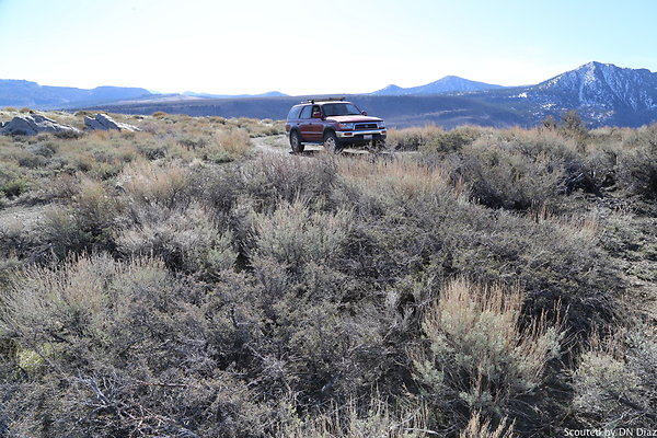 DNDIMG 7857 DNDIMG 7857