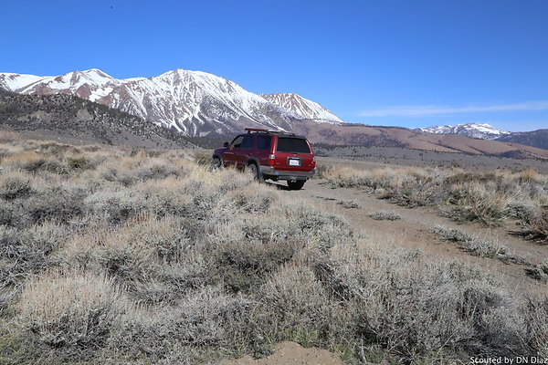 DNDIMG 7832 DNDIMG 7832