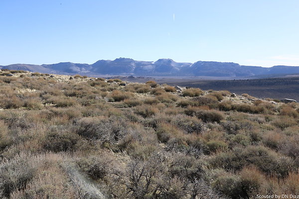 DNDIMG 7840 DNDIMG 7840