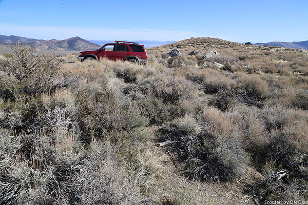 DNDIMG 7843 DNDIMG 7843