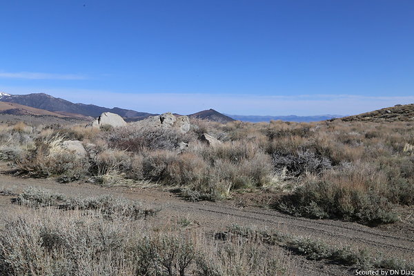 DNDIMG 7833 DNDIMG 7833