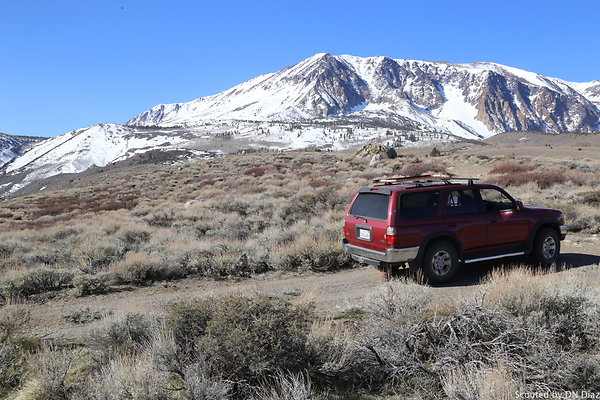 DNDIMG 7822 DNDIMG 7822