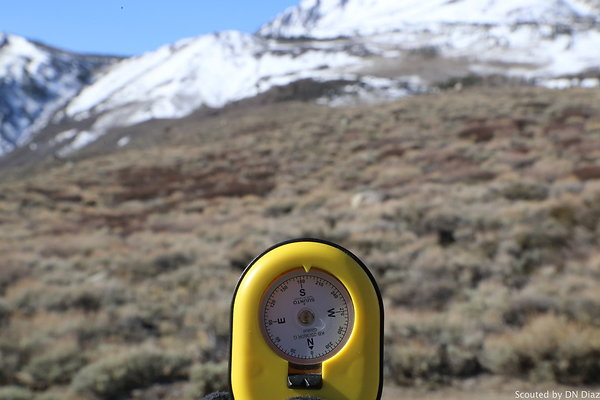 DNDIMG 7828 DNDIMG 7828