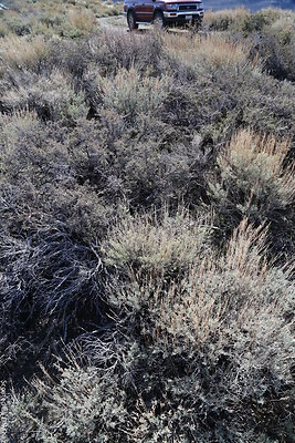 DNDIMG 7858 DNDIMG 7858