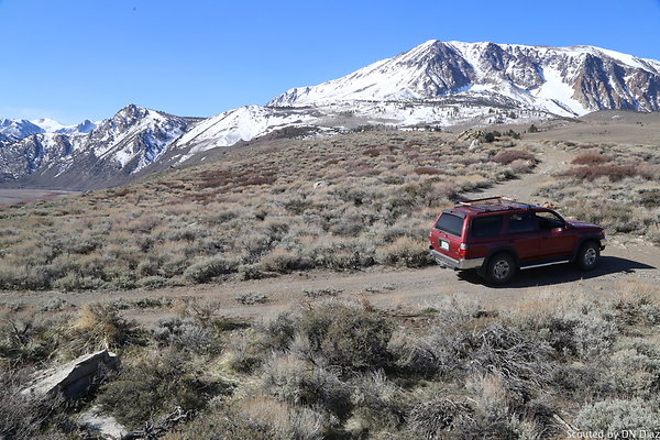 DNDIMG 7863 DNDIMG 7863