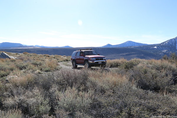 DNDIMG 7853 DNDIMG 7853