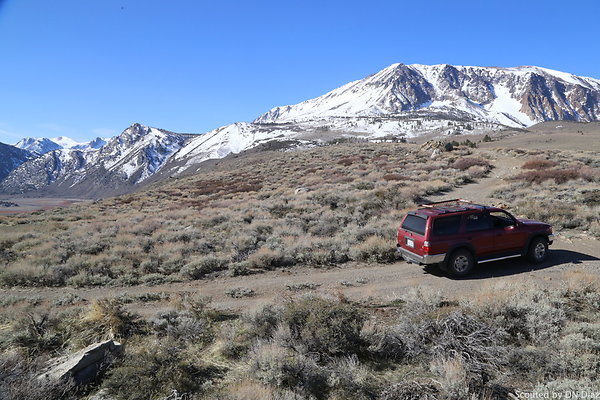 DNDIMG 7819 DNDIMG 7819