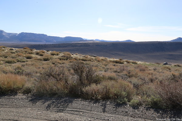 DNDIMG 7847 DNDIMG 7847