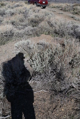 DNDIMG 7837 DNDIMG 7837