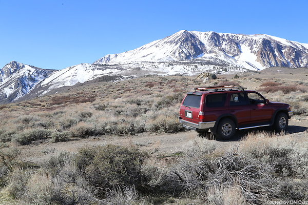 ADNDIMG 7862 ADNDIMG 7862