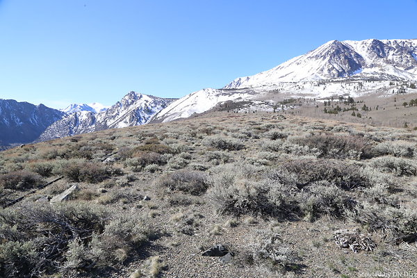 DNDIMG 7869 DNDIMG 7869