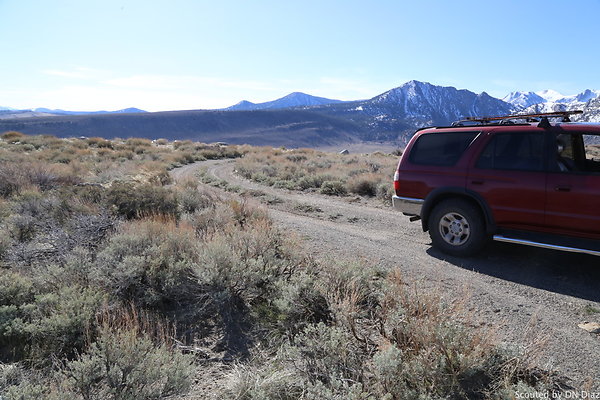 DNDIMG 7860 DNDIMG 7860