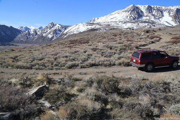 DNDIMG 7829 DNDIMG 7829