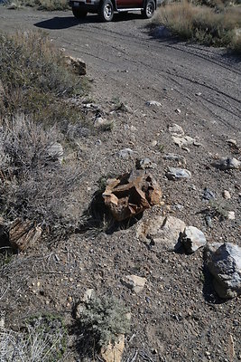 DNDIMG 7851 DNDIMG 7851