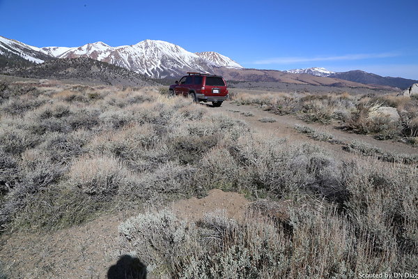 DNDIMG 7836 DNDIMG 7836