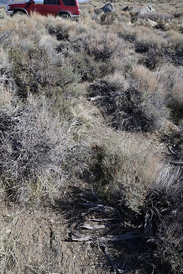 DNDIMG 7844 DNDIMG 7844