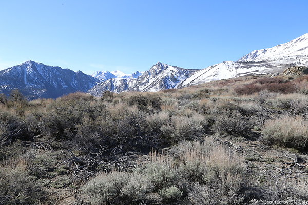 DNDIMG 7854 DNDIMG 7854