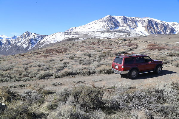 DNDIMG 7823 DNDIMG 7823