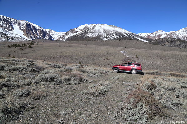 DNDIMG 7870 DNDIMG 7870