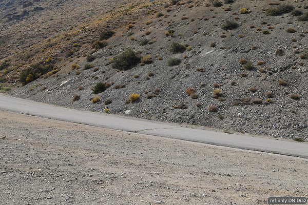 DNDDND-IMG 1902 DNDDND-IMG 1902