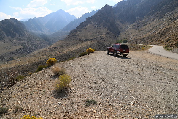 DNDzDND-IMG 1899 DNDzDND-IMG 1899