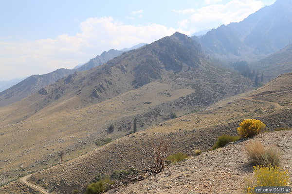 DNDDND-IMG 1900 DNDDND-IMG 1900