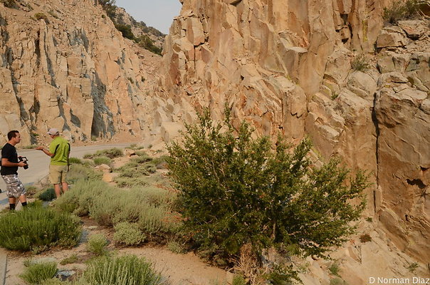 759 HSM walts point 759 HSM walts point