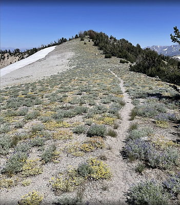 Screen Shot 2024-06-25 at 6.22.00 PM