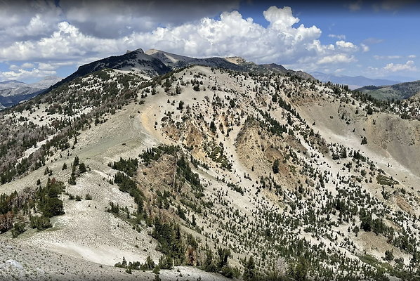 Screen Shot 2024-06-25 at 6.22.56 PM