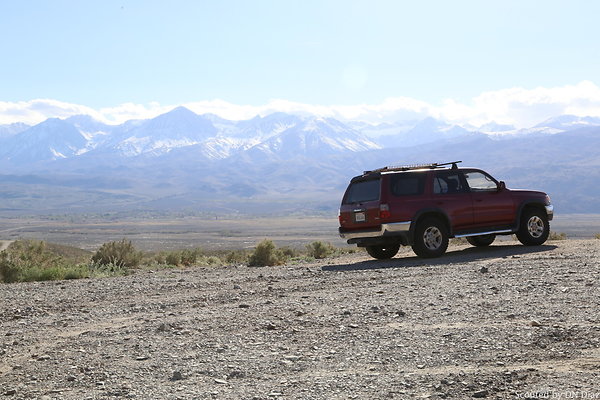 ADNDIMG 8108 ADNDIMG 8108