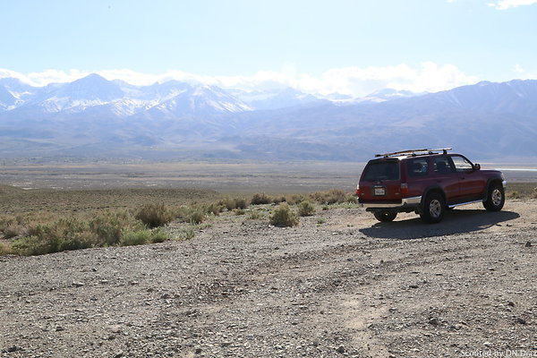 ADNDIMG 8107 ADNDIMG 8107