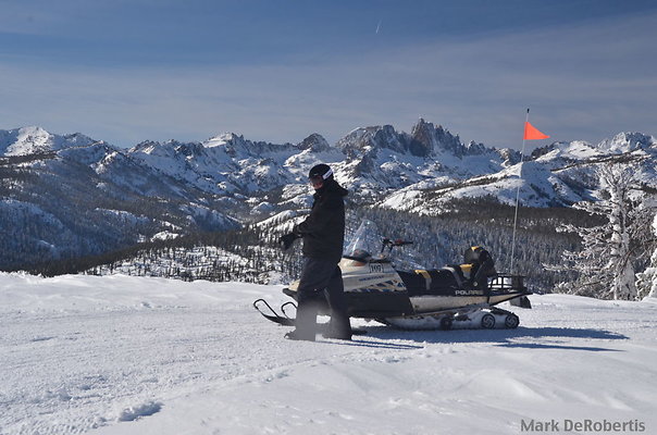 MDR 4158 x MDR 4158 x