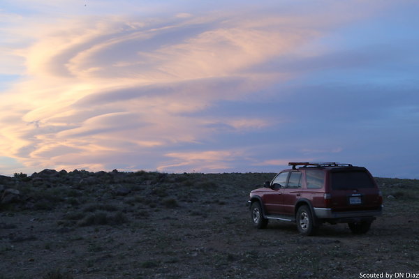 zDNDIMG 8491 zDNDIMG 8491