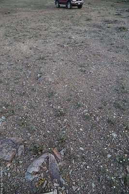 DNDIMG 8499 DNDIMG 8499