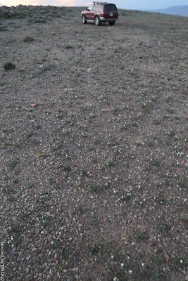 DNDIMG 8490 DNDIMG 8490