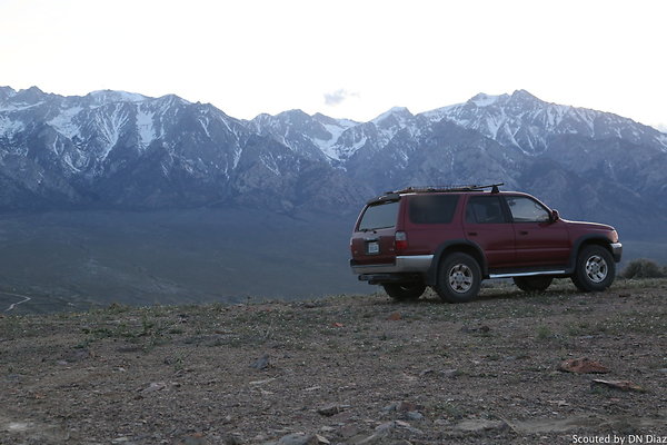 ADNDIMG 8502 ADNDIMG 8502